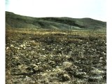 View of Wadi Yabis (Cherith brook), east of the Jordan.